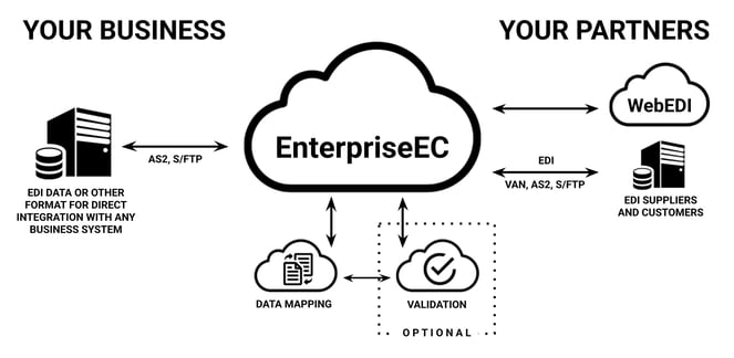 2025 EEC-Diag2 Solid